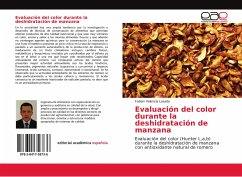 Evaluación del color durante la deshidratación de manzana - Valencia Losada, Fabian