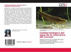 Calidad biológica del agua de la subcuenca del Carrizal - Quinteros Vera, Evelyn Dayana;Cedeño Relles, Andrea;Philco, Cumandá
