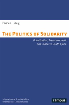 The Politics of Solidarity - Ludwig, Carmen