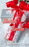 Secret Santa (eBook, ePUB)