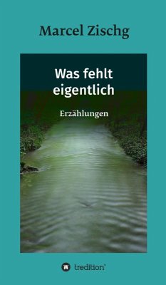 Was fehlt eigentlich (eBook, ePUB) - Zischg, Marcel