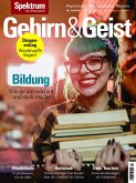 Gehirn&Geist 12/2018 Bildung (eBook, PDF)