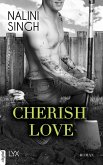 Cherish Love / Hard Play Bd.1 (eBook, ePUB)