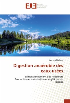 Digestion anaérobie des eaux usées - Kalogo, Youssouf