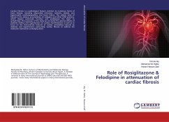 Role of Rosiglitazone & Felodipine in attenuation of cardiac fibrosis - Aly, Omnia;Hafez, Mohamed M.;Hassan Zaki, Hanan