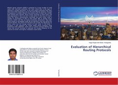 Evaluation of Hierarchical Routing Protocols