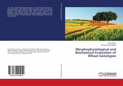 Morphophysiological and Biochemical Evaluation of Wheat Genotypes