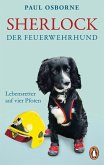 Sherlock, der Feuerwehrhund