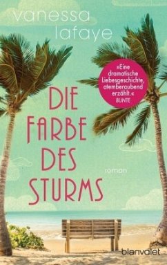 Die Farbe des Sturms - Lafaye, Vanessa