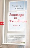 Sonntags in Trondheim / Die Lügenhaus-Serie Bd.4