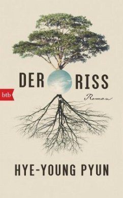 Der Riss - Hye-young, Pyun