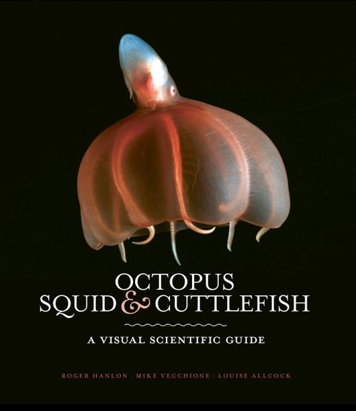 Octopus, Squid & Cuttlefish (eBook, ePUB) Octopus, Squid & Cuttlefish (eBook, ePUB)