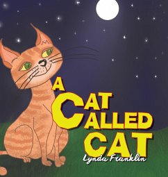 A Cat Called Cat - Franklin, Lynda