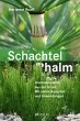 Schachtelhalm - Bild 1