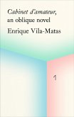 Enrique Vila-Matas: Cabinet d'Amateur, an Oblique Novel