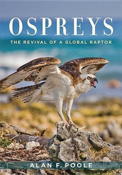 Ospreys - Poole, Alan F