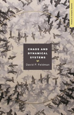 Chaos and Dynamical Systems - Feldman, David P.