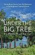 Under the Big Tree - Bild 1