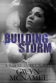 Building Storm: (A Hawke Family Novel) (eBook, ePUB)