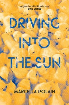 Driving Into the Sun - Polain, Marcella