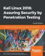 Kali Linux 2018 - Bild 1