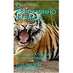 O Pergaminho Perdido (eBook, ePUB)