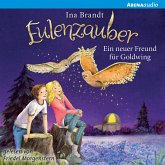 Ein neuer Freund für Goldwing / Eulenzauber Bd.8 (MP3-Download)