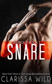 Snare (Delirious) (eBook, ePUB)
