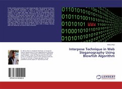 Interpose Technique in Web Steganography Using Blowfish Algorithm