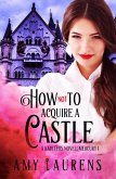 How Not To Acquire A Castle (Kaditeos, #1) (eBook, ePUB)