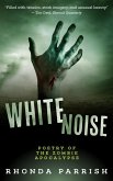 White Noise (eBook, ePUB)