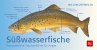 Süßwasserfische - Bild 1
