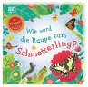 Wie wird die Raupe zum Schmetterling? - Bild 1