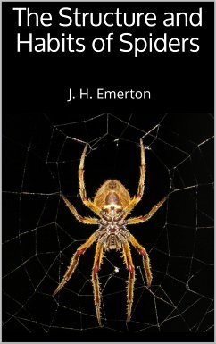 The Structure and Habits of Spiders (eBook, ePUB) - Emerton, J. H.