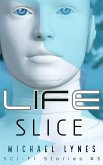 Life Slice (SciFi Stories, #3) (eBook, ePUB)