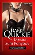 Dressur zum Ponyboy (eBook, ePUB) - Bild 1