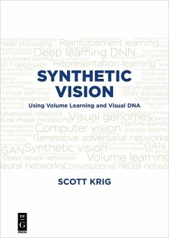 Cover Synthetic Vision (eBook, PDF)