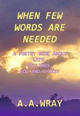 When Few Words Are Needed (eBook, ePUB)