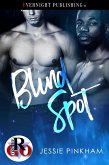 Blind Spot (eBook, ePUB)