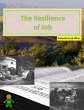 Resilience of Job (eBook, ePUB) - Bild 1