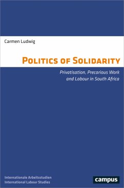 The Politics of Solidarity (eBook, PDF) - Ludwig, Carmen