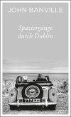 Spaziergänge durch Dublin (eBook, ePUB)