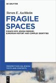 Fragile Spaces (eBook, PDF)