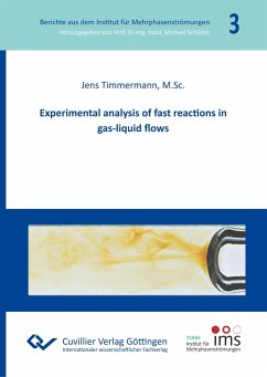 Experimental analysis of fast reactions in gas-liquid flows (Band 3) - Timmermann, Jens