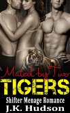 Mated By Two Tigers (Shifter Menage Romance) (eBook, ePUB)