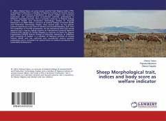 Sheep Morphological trait, indices and body score as welfare indicator