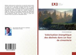 Valorisation énergétique des déchets dans un four de cimenterie - Kankolongo, Christian