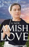 A New Amish Love (Second Chance Amish Romance, #1) (eBook, ePUB)