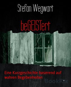 beGEISTert (eBook, ePUB) - Wegwart, Stefan