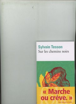 Sur les chemins noirs - Tesson, Sylvain